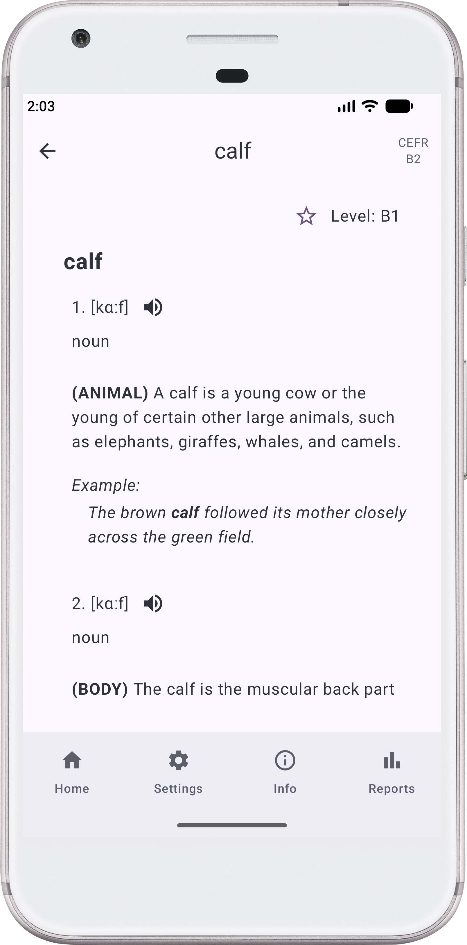 Screenshot of the Language-Turtle Android app showing a homograph lesson
